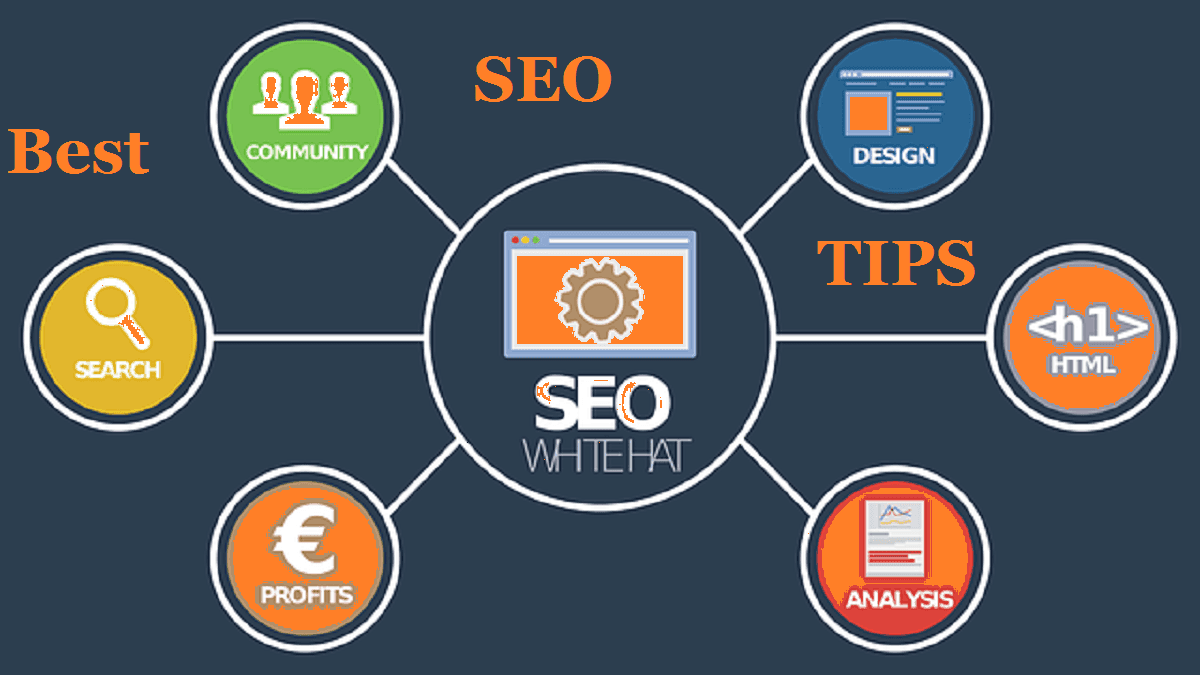 Best Seo Tips 2019 In Hindi – How To Be A Seo Master
