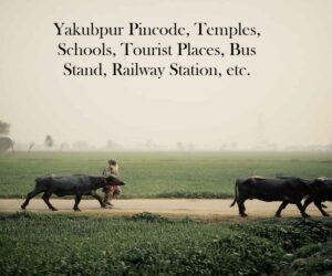 Yakubpur Pincode, Temples, Schools, Tourist Places, Bus Stand, Railway Station, etc.